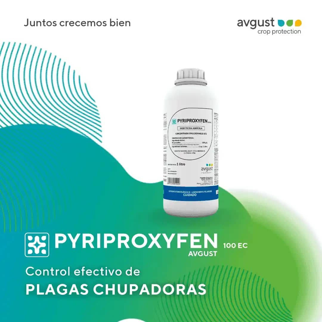Pyriproxyfen Green Ravenna – Pastiglie Larvicida Antizanzara – 50 Compresse 100g - 4